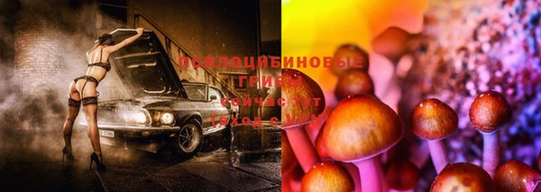метамфетамин Алексеевка